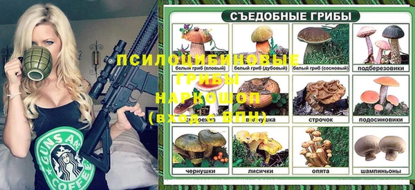 соль ск Магас