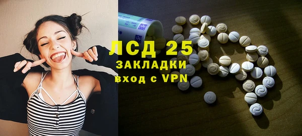 гашик Липки