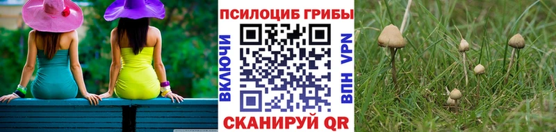 Псилоцибиновые грибы Psilocybine cubensis  Купить закладки  Казань
